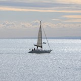 1_ora_sul_porto_gara_podistica_foto_098