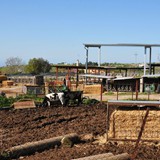 trofeo_san_salvatore_2026_foto_054