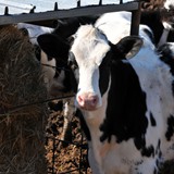 trofeo_san_salvatore_2026_foto_055