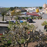 trofeo_san_salvatore_2026_foto_059