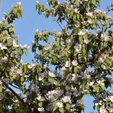 trofeo_san_salvatore_2026_foto_063