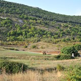 50k_gargano_ultramaratona_Monte_SantAngelo_Vieste_2021_foto_003