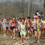 magnacapitanata_cross2006_cagnano_varano_lefalcare_foto_030