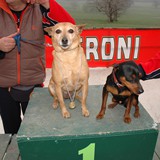 magnacapitanata_cross2006_cagnano_varano_lefalcare_foto_360