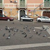 corri_manfredonia_2025_foto_253