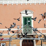 corri_manfredonia_2025_foto_254