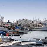 corri_manfredonia_2014_foto_134