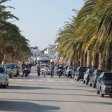 passaggio_fiamma_olimpica_2006_foto_114