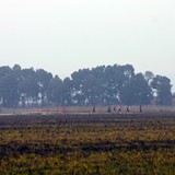 primaprova_magnacapitanata_cross2006_foto_023