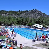 campionato_italiano_nuoto_dirp_2010_foto_070
